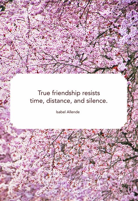 Inspirational Friendship Quotes is - “True friendship resists time, distance, and silence.” #friendship #friendship_quotes #friendship_quotes funny #friendship_quotes_meaningful #friendship_quotes_inspirational #friendship_quotes_support #friendship_quotes_distance #friendship_quotes_for_boys #Friendship_Quotes #Friendship_Quotes #quotes_on_life #friendship_quotes_on_motivation Best Friend Quotes Distance, Best Friend Quotes Deep, Friend Quotes Distance, Cute Best Friend Quotes, Quotes Distance, True Friends Quotes, Short Friendship Quotes, Friendship Quote, True Friendship Quotes