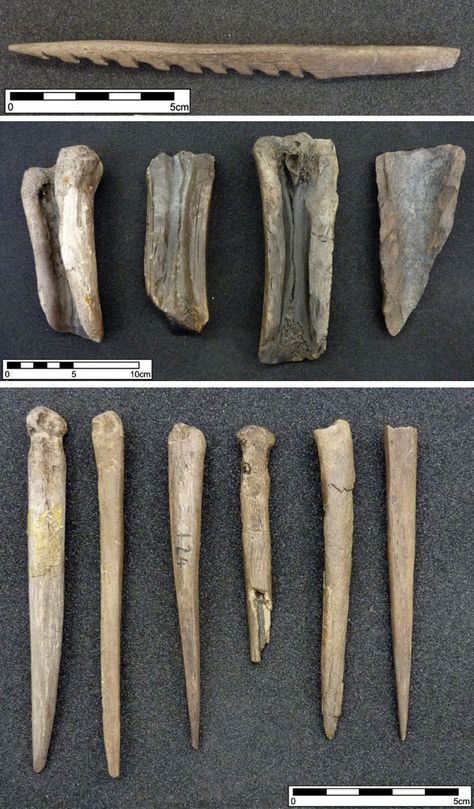 Return to Star Carr: Discovering the true size of a Mesolithic settlement | Current Archaeology Jenny Greenteeth, Neolithic Artifacts, Bone Tools, Mesolithic Tools, Prehistoric Man, Stone Age Tools, Native American Tools, Ancient Tools, Early Settler