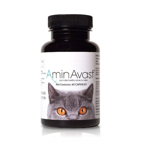 AminAvast Kidney Support for Cats (60 capsules) Kidney Support, Wireless Dog Fence, Kidney Function, Cat Seat, Health And Vitality, National Animal, Dry Cat Food, Wet Cat Food, Dog Training Collar