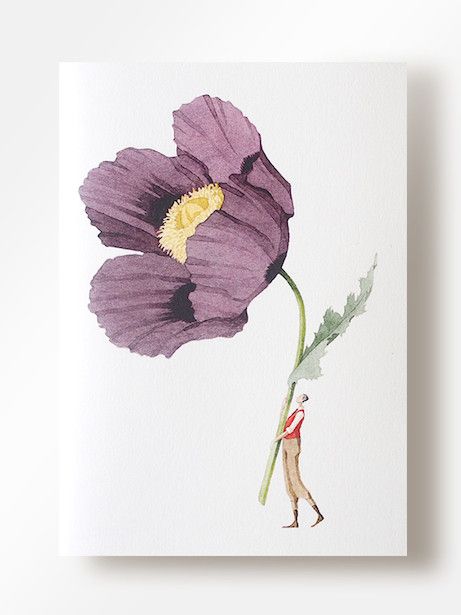 laura stoddart bloom notebook | simple pretty Laura Stoddart Illustrations, Creativity Block, Laura Stoddart, Favourite Flowers, New Paper, Watercolor Inspiration, Minimalist Living, Top Drawer, Children's Book Illustration