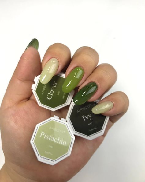 COMING SOON 📢 📢 📢 Next in line for our upcoming range of individual gels are our gorgeous green shades 💚🍀 Deep forest Ivy🌿, lucky green Clover🍀 and creamy gelato-esque Pistachio 🍦 #ambedo #nailshadows #gelnails #nailinspiration #aussiebrand #nailsofinsta #greennails #easynails #comingsoon Pistachio Green Nails, Clover Nails, Green Clover, Green Shades, Lucky Green, Clover Green, Pistachio Green, Deep Forest, Gel Color