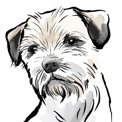 Border Terrier Print, Breed Traits Or Personalised Border Terrier Tattoo, Border Terrier Drawing, Dog Breed Art, Scruffy Dogs, Dog Prints, Line Art Images, Border Terrier, Different Dogs, Dog Tattoo