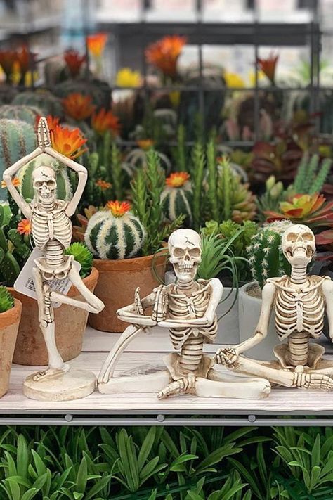 Halloween Jeep, Skeleton Ideas, Medieval Halloween, Yoga Skeleton, Halloween Yoga, King Pigeon Pose, Michaels Halloween, Halloween Parejas, Yoga Kids