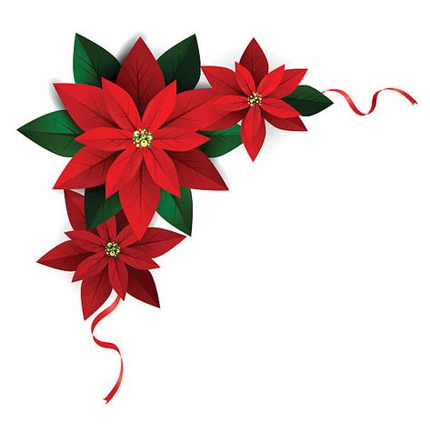 Plant Clip Art, Christmas Paper Craft, Poinsettia Decor, Poinsettia Plant, Christmas Papers, Christmas Stockings Diy, Alcohol Ink Crafts, Red Poinsettia, Christmas Border