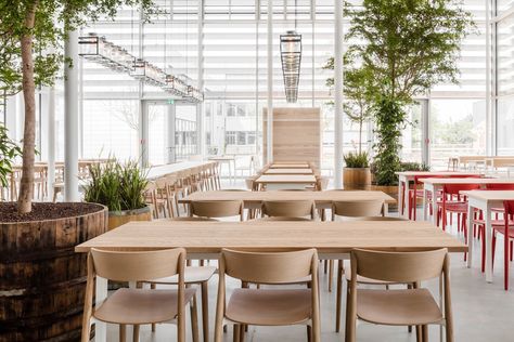 Gallery of PERI Canteen / Studio ESW + Mühlich, Fink & Partner - 12 Industrial Reception Design, Outdoor Canteen, Canteen Food, Industrial Reception, Canteen Design, Riverside Cafe, Office Cafeteria, Cafeteria Design, Boarding House