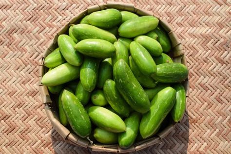 Tindora or Ivy gourd. Vegetables In Basket, Ivy Gourd, Asian Vegetables, Native Language, Tropical Climate, Ayurvedic Medicine, Green Vegetables, Medicinal Herbs, Top View