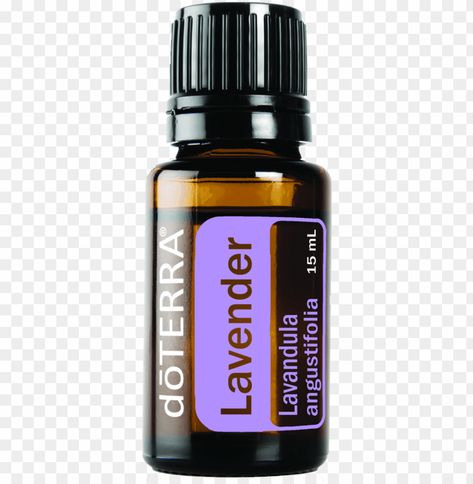 Lavanda Doterra, Lavender Doterra, Doterra Logo, Lavender Png, Doterra Balance, Esential Oils, Doterra Lavender, Doterra Oils, Clear Background