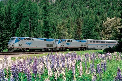 These 4 Train Rides Will Take You to Some of the Best Wildflower Blooms in the U.S. Amtrak Travel, Cross Country Training, Amtrak Train, Train Route, Buses And Trains, Rocky Mountain National, Rocky Mountain National Park, Big Sky, Glacier National Park