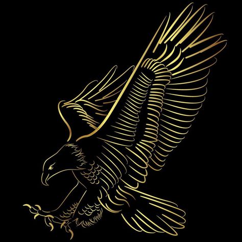 Blad Eagle flying over black background Blad Eagle, Dj Music Video, Eagle Flying, Bear Patterns, Garden Paving, Eagle Black, Aari Work Blouse, Golden Eagle, Dj Music