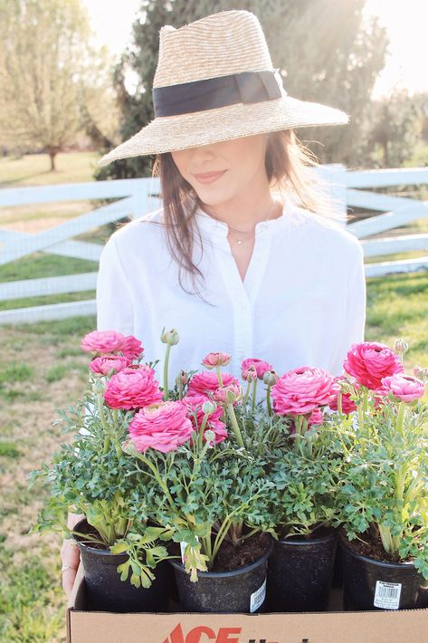 Garden Gravel, Garden 101, Easy To Grow Flowers, Ranunculus Garden, Timeless Home Decor, Gardening Guide, Garden Site, Grow Flowers, Ranunculus Flowers