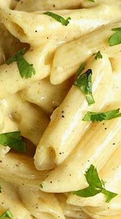 Creamy Garlic Butter Pasta!! Garlic Butter Macaroni, Pasta In Butter Sauce, Pasta Sauce With Milk And Butter, Garlic Lovers Pasta, Easy Butter Pasta Recipes, Easy Butter Pasta Sauce, Mozzarella Recipes Pasta, Creamy Butter Noodles, Almond Milk Pasta Sauce