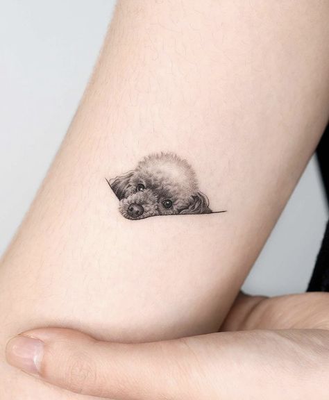 Tattoo For Puppy, Dachshund Portrait Tattoo, Dog Tattoo Finger, Tiny Poodle Tattoo, Mini Tats Dog, Miniature Poodle Tattoo, Poodle Line Tattoo, Mini Poodle Tattoo, Small Poodle Tattoo