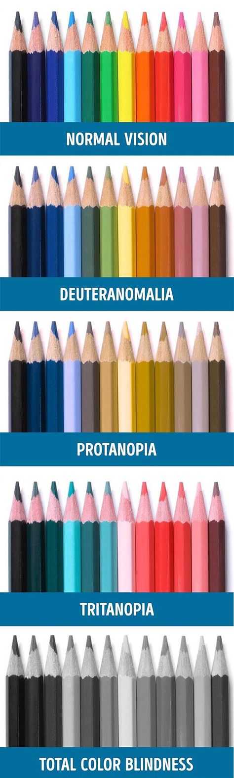 Color blindness demonstration A Guide To Deduction, Lovely Thoughts, Different Types Of Colours, Life Pro Tips, Color Blind, Coloured Pencils, Science Fair, Amazing Stories, Funny Images