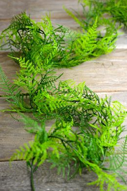 8.00 SALE PRICE!     Enhance your decorations and floral garlands with this artificial asparagus fern garland. It is plastic so it can be used outside also. ... Fern Garland, Cajun Party, Bouquet Succulent, Fern Wedding, Ribbon Ideas, Crystal Garland, Asparagus Fern, Floral Garland, Center Pieces