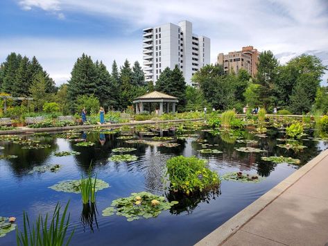 Denver Botanic Gardens dubbed one of 'best gardens' in the United States | outtherecolorado.com United States Botanic Garden, Garden Spotlights, Denver Botanic Gardens, Chicago Botanic Garden, Desert Botanical Garden, California Photos, New York Photos, Urban Oasis, Sonoran Desert