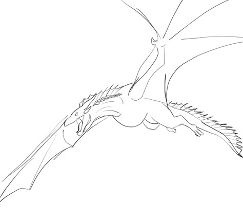 Flying Dragon Reference, Dragon Bases Drawing Flying, White Wyvern Art, Dragon Roaring Reference, Wyvern Anatomy, Dragon Bases Drawing, Dragon Flying Drawing, Wyvern Drawings, Dragon Base Poses