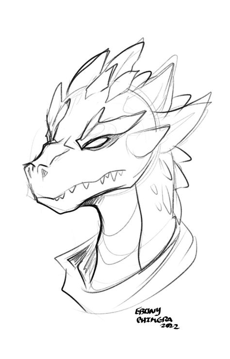 Dragonborn Face Reference, Dragon On Shoulder Drawing, Head Design Drawing, Dragonborn Head Reference, Dragon Scales Reference, Dragonborn Dnd Drawing Reference, Dragon Sketch Reference, Dragonborn Drawing Base, Dragon Ears Drawing