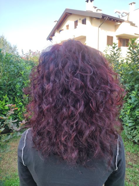 Black cherry red hair Red On Curly Hair, Cherry Red Wavy Hair, Deep Purple Curly Hair, Curly Plum Hair, Cherry Plum Hair Color, Black Cherry Curly Hair, Wavy Dark Red Hair, Dark Cherry Red Hair Curly, Cherry Cola Hair Color Curly