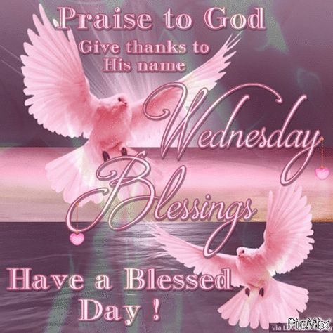 Wednesday Gif, Wednesday Morning Greetings, Happy Wednesday Images, Wednesday Morning Quotes, Praise To God, Wednesday Greetings, Wednesday Blessings, Good Wednesday, Blessed Wednesday