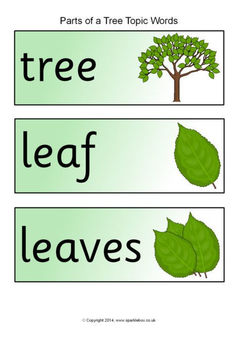 Parts of a Tree Topic Word Cards (SB10267) - SparkleBox Fall Preschool Centers, Bush Kindy, Parts Of A Tree, Creative Curriculum Preschool, Tree Project, Plants Unit, Preschool Schedule, Early Literacy Activities, Fall Preschool Activities