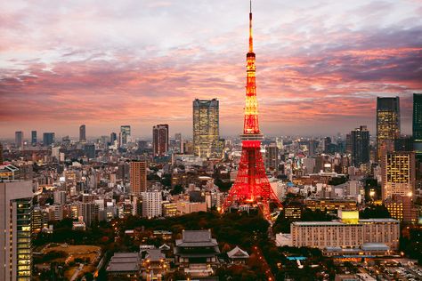 Tokyo Japan Landscape, Tokyo Landscape Photography, Tokyo Scenery, Tokyo Japan Photography, Tokyo Japan Aesthetic, Tokyo Landscape, Tokyo Wallpaper, Tokyo City View, Japan Skyline