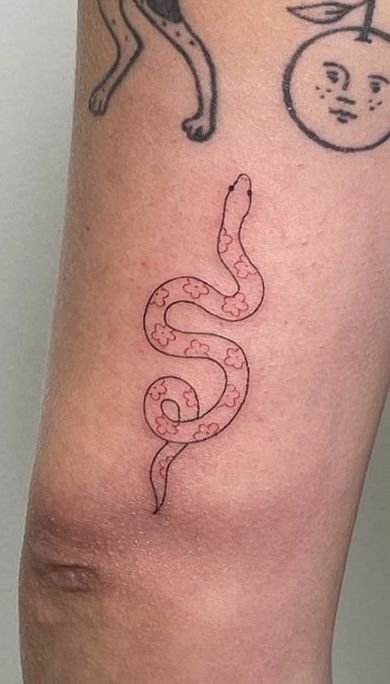 Silly Snake Tattoo, Whimsical Snake Tattoo, Snake Tattoo Simple, Cute Snake Tattoo, Small Snake Tattoo, Baby Snakes, Cool Snakes, Scale Tattoo, Cute Snake