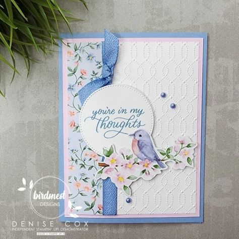 Sale A Bration Day 2: Softly Sophisticated Flight And Airy Dsp, 2024 Card, Painted Lavender, Designer Paper Cards, Bird Stamp, Spring Cards, Fancy Fold Cards, Bird Cards, Stamping Up Cards