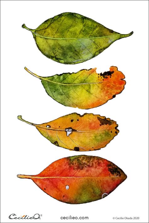 Drawings To Trace, Watercolour Challenge, Vegetable Painting, Watercolour Ideas, Days Challenge, Watercolor Pencil, Diy Watercolor Painting, Watercolor Projects, Fall Watercolor