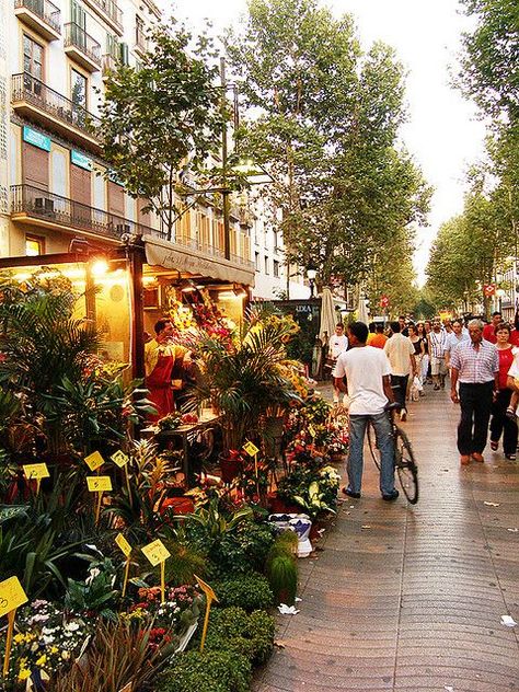 SPAIN.... Barcelona - La Rambla is a street in central Barcelona, popular with tourists and locals alike. A tree-lined pedestrian mall, it stretches for 1.2 kilometres. Magic Places, Walking Down The Street, Barcelona Travel, Plants And Flowers, Spain And Portugal, Future Travel, Virgin Islands, Montpellier, Spain Travel