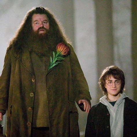 Half Giant, Harry Potter Ron And Hermione, Robbie Coltrane, Rubeus Hagrid, Gryffindor Aesthetic, The Goblet Of Fire, Ron And Hermione, Goblet Of Fire, Harry Potter Films