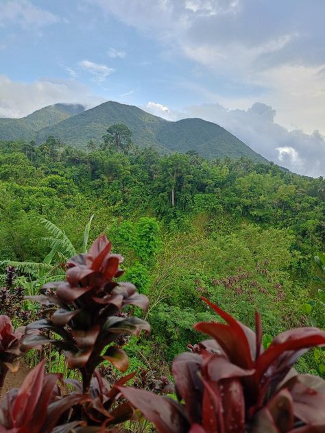 #nature #mountain Silay City, The Mountain, Places To Visit, Quick Saves, Nature