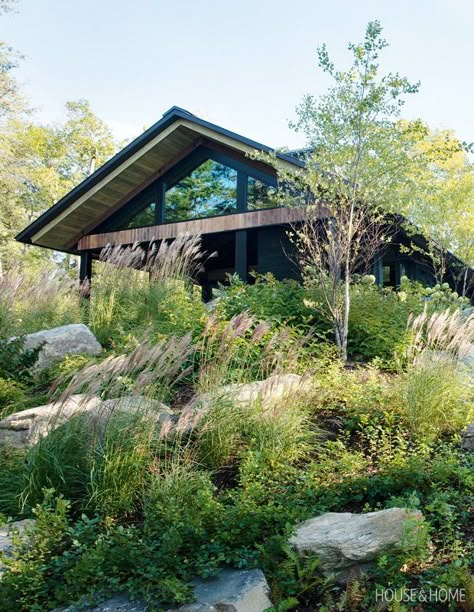 The cottage was designed to disappear almost entirely into its surroundings, especially when viewed from the lake. | Photographer: Virginia Macdonald | Designer: Architecture by Akb Architects Modern Cottage Landscaping, Modern Cottage Garden Design, Woodsy Landscaping, Cabin Landscaping Ideas Woods, Natural Terrace, Woods Landscaping, Lake Cottage Exterior, Deck Styles, Cabin Landscaping