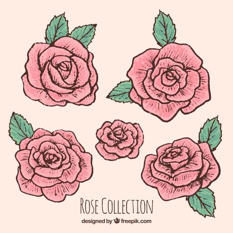 Selection of hand-drawn roses Free Vector Roses Art Aesthetic, Rose Art Aesthetic, Rose Aesthetic Drawing, Rose Crown Drawing, Drawn Roses Simple, Roses Aesthetic Drawing, Aesthetic Rose Drawing, Rose Drawing Reference, Rose Drawing Aesthetic