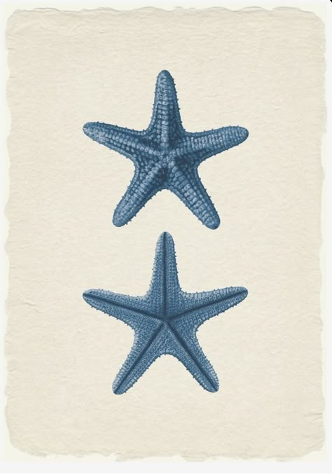 Sea Star Illustration, Blue Coral Art, Starfish Tattoo, Coastal Wallpaper, Sea Stars, Coral Art, Star Illustration, Vintage Sea, Stella Marina