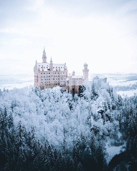 Nathaël Labat on Instagram: “"Neuschwanstein 🇩🇪" 🇬🇧 When a fairy tale becomes real. Walt Disney has been inspired by this castle to create Cinderella's one. You can…” Cool Britannia, Black Hair Green Eyes, Castle Germany, Myths & Monsters, Winter Fairy, Neuschwanstein Castle, Snowy Forest, To Start A Business, Cinderella Castle