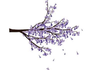 Jacaranda Tattoo, Argentina Tattoo, Personalised Stationery, Jacaranda Tree, Soft Tailoring, Tree Illustration, Tree Tattoo, Piercing Tattoo, Japanese Tattoo