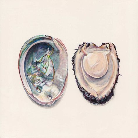 Abalone Shell Tattoo, Abalone Tattoo, Joel Penkman, Water Sketch, Shell Drawing, Sea Life Art, Summer Painting, Watercolor Painting Techniques, Ocean Wallpaper