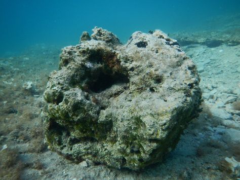 Underwater Rocks, Rocks Under Water, Little Mermaid Painting, Ocean Commotion Vbs, Ocean Commotion, Ocean Projects, Illustration Process, Sea Floor, Rock Aesthetic