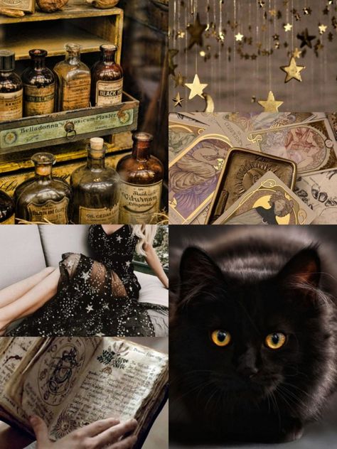 Science Witch Aesthetic, Witch Aesthetic Board, Beauty Witch Aesthetic, Black And Gold Witch Aesthetic, Witch Aesthetic Moodboard, Solarcore Aesthetic, Honey Witch Aesthetic, Golden Witch Aesthetic, Book Witch Aesthetic