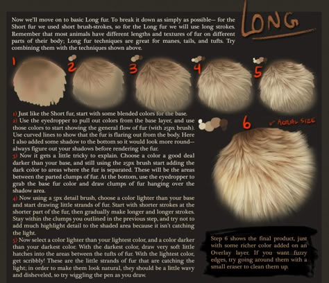 Fur Reference, Fur Tutorial, Painting Learning, Painting Fur, Rendering Techniques, Digital Painting Techniques, Art Advice, Texture Drawing, Reference Art