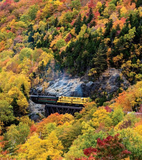 The Best 5 Fall Foliage Trains in New England from Yankee Magazine Train Vacations, New England Road Trip, Fall Road Trip, East Coast Road Trip, Scenic Railroads, Vacation Locations, New England Travel, New England Fall, White Mountains