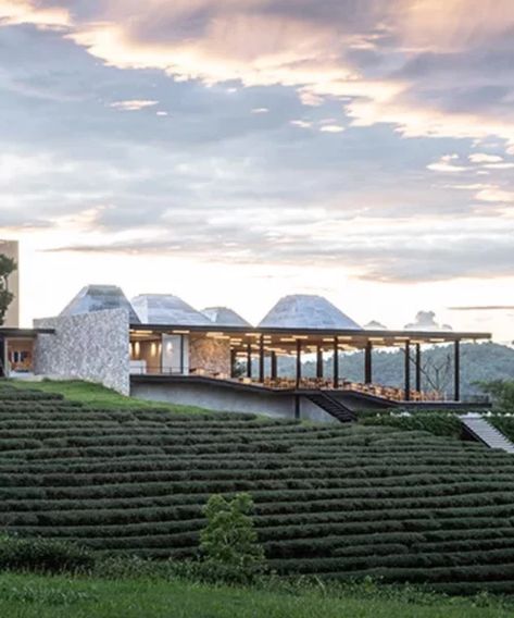 IDIN architects tops the roof of choui fong tea cafe 2 in thailand with conical skylights Mountain Cafe, Traditional Cafe, Cafe Architecture, Roof Top, Tranquil Office, Cafe Plan, Tea Restaurant, Tea Cafe, Restaurant Architecture