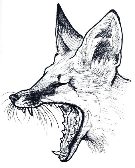 Fox Drawing Tutorial, Fox Walking, Fox Sketch, Wolf Sketch, Fox Artwork, Fox Drawing, Octopus Tattoo, Fox Tattoo, Day Day