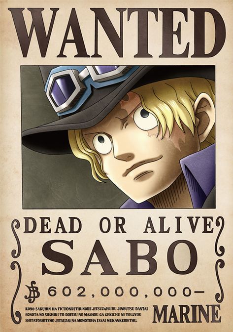 Wanted One Piece, One Piece Fan Art, One Piece Theme, One Piece Bounties, Ace One Piece, One Piece Logo, Sabo One Piece, Ace And Luffy, One Piece Photos