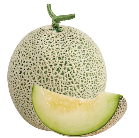 Melon Musk, Musk Melon, Melon Pan, Potted Fruit Trees, Melon Soda, Human Digestive System, Honeydew Melon, Png Aesthetic, Honeydew