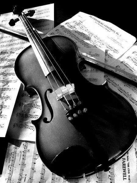 Black Violin, Violin Photography, Photo Bleu, Violin Art, Learn Violin, Violin Music, Music Aesthetic, Black And White Aesthetic, Violinist