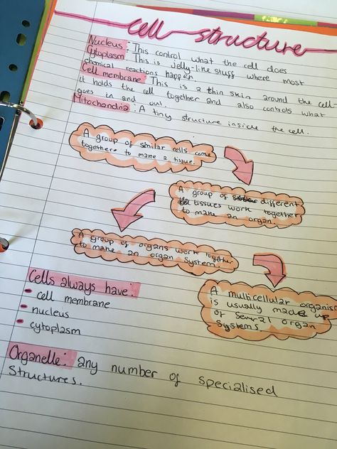 Cells Nursing Notes, Cell Specialization Notes, Specialised Cells Notes, Biology Notes Cell Structure, Cell Structure Notes, Cell Theory Notes, Cell Structure And Function Notes, Nursing Notes Organization, Revision Hacks