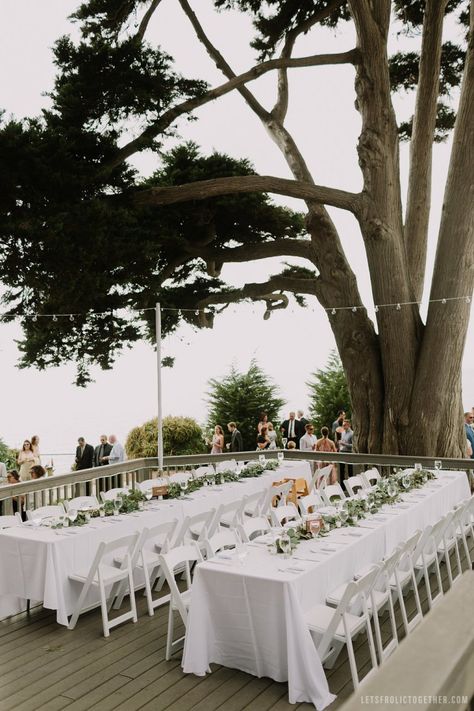 Native Poppy, City Transportation, Birch Aquarium, San Diego Luxury, Johnson House, San Diego Elopement, San Diego Wedding Venues, Martin Johnson, San Diego Bay