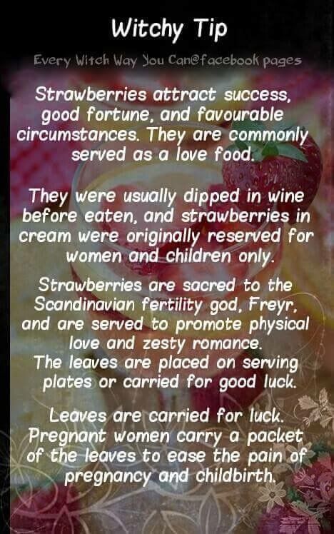 Strawberries………Magickal Tips & Hints – Witches Of The Craft® Every Witch Way, Witch Tips, Magickal Herbs, Witchy Tips, Witch Herbs, Wiccan Witch, Magick Spells, Magical Herbs, Eclectic Witch