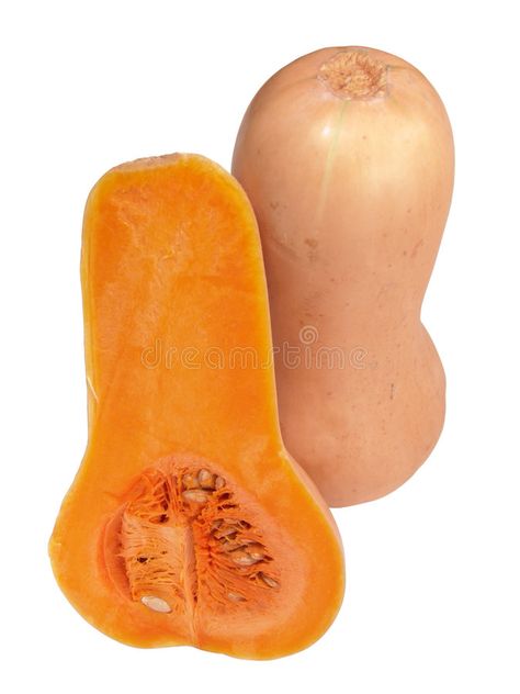 Butternut Squashes. Macro view of butternut squashes showing ripe flesh #Sponsored , #Affiliate, #affiliate, #Macro, #Butternut, #ripe, #view Squash Baby Food Recipe, Winter Squash Varieties, Human Food For Dogs, Starting Solid Foods, Baby Food By Age, Squash Varieties, Squash Seeds, Baby & Toddler Food, Baby First Foods